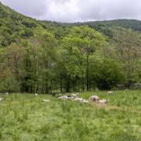 Entretien naturel et écologique